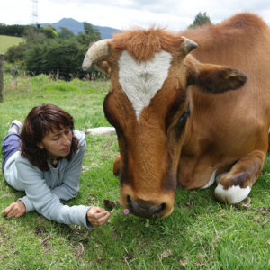 For animals like Balarama, the "gentle giant", Juliana's Animal Sanctuary is a beacon of hope.