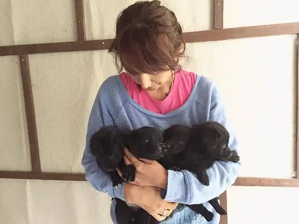 4puppiesabandoned