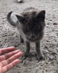 The day he was found