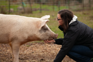 A pig and a woman