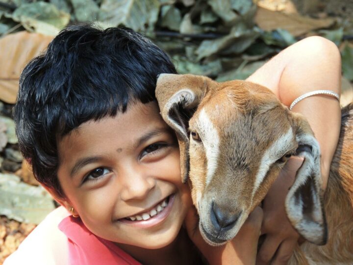 A boy and a lamb