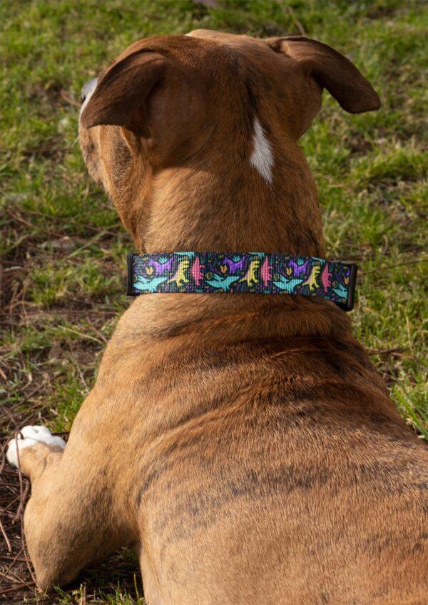 Dog Collar dinosaur