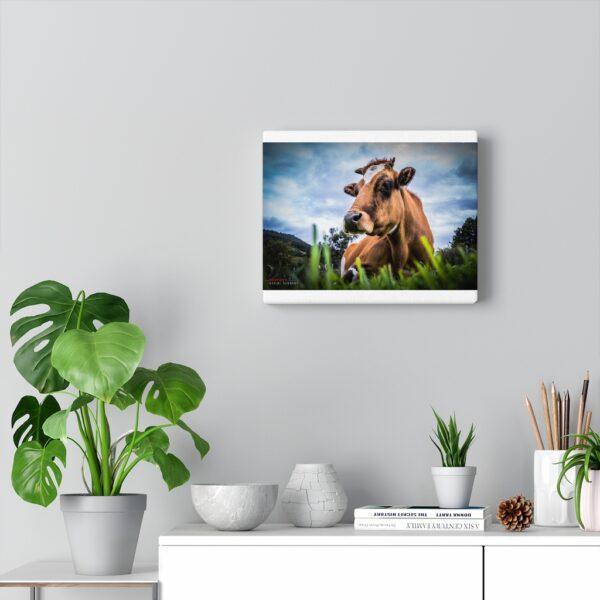 Canvas Gallery Balarama the rescue bull - Image 2