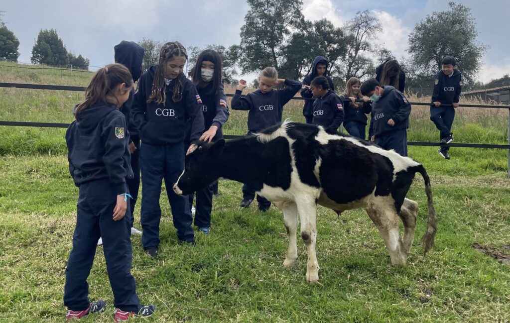Kids at the sanctuary
